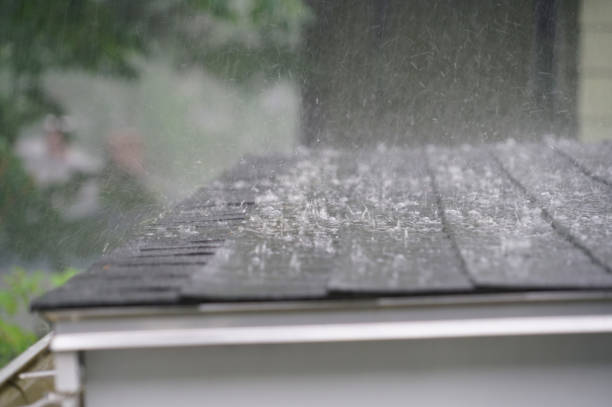 Best Roof Installation  in Kalaheo, HI